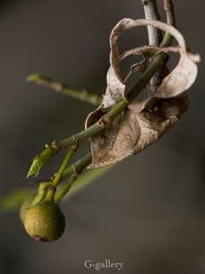 P3290149-LR2.jpg