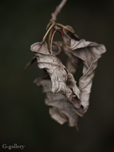 P3290151-LR2.jpg