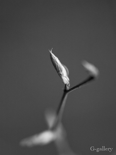 P3290167-LR2.jpg