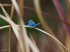 P3290244-LR2.jpg