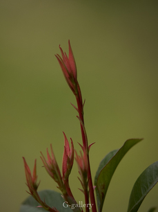 P3290278-LR2.jpg