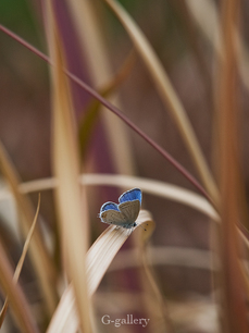 P3290343-LR2.jpg