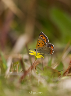 P3290354-LR2.jpg