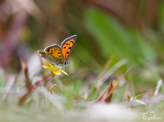 P3290361-LR2.jpg
