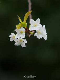 P3290387-LR2.jpg