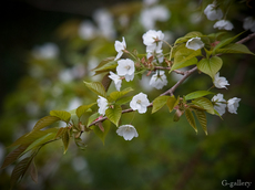 P3290424-LR2.jpg