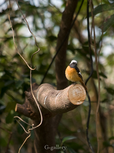 P3290466-LR3.jpg