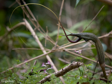 P3297952-LR2.jpg