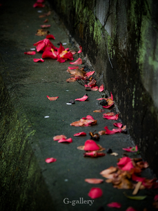 P3307958-LR2.jpg