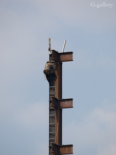P3317948-LR2.jpg