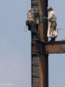 P3317962-LR2.jpg