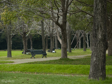 P4050077-LR3.jpg
