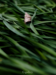 P4060149-LR3.jpg