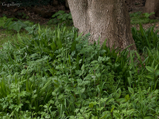 P4068182-LR3.jpg