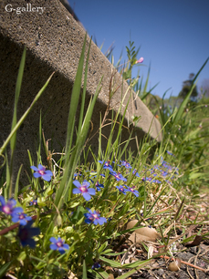 P4120034-LR3.jpg