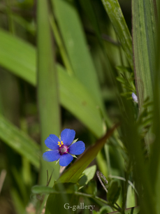 P4128187-LR3.jpg