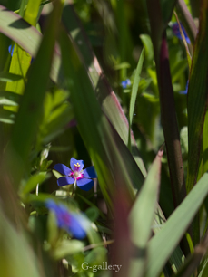 P4128192-LR3.jpg