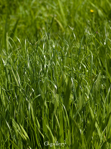 P4128218-LR3.jpg