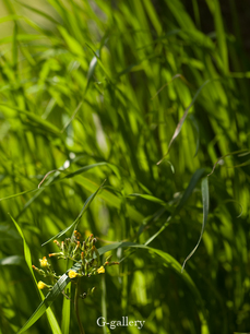 P4128251-LR3.jpg