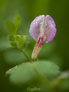 P4138266-LR3.jpg