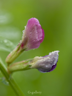 P4138276-LR3.jpg