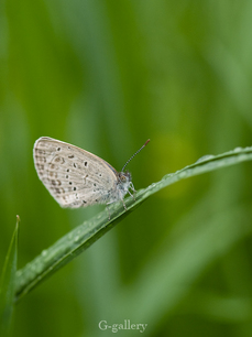 P4138309-LR3.jpg