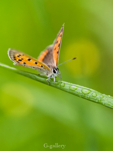 P4138318-LR3.jpg