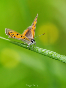 P4138318_os2.jpg