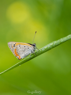 P4138330-LR3.jpg