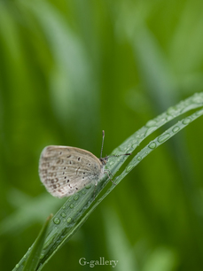 P4138378-LR3.jpg