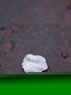 P4138414-LR3.jpg