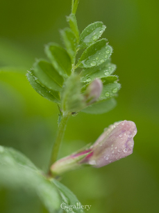 P4138420-LR3.jpg