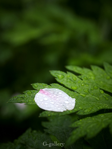P4138444-LR3.jpg