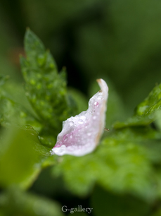 P4138458-LR3.jpg