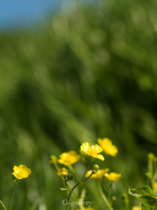 P4198525-LR3.jpg