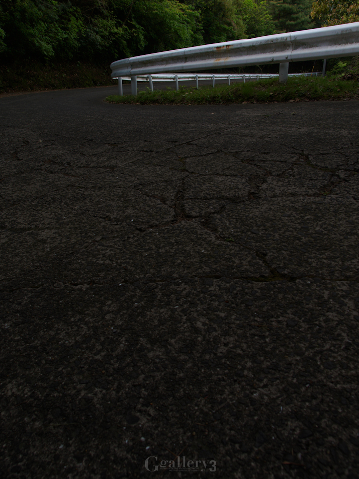 P4284175-11493.jpg