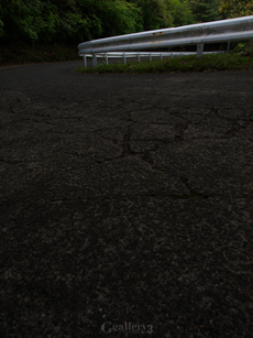 P4284175-11493m.jpg