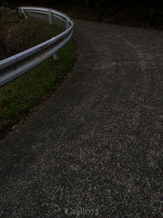 P4284179-11494m.jpg