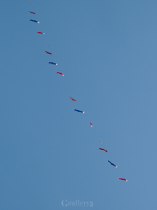 P5014328m.jpg