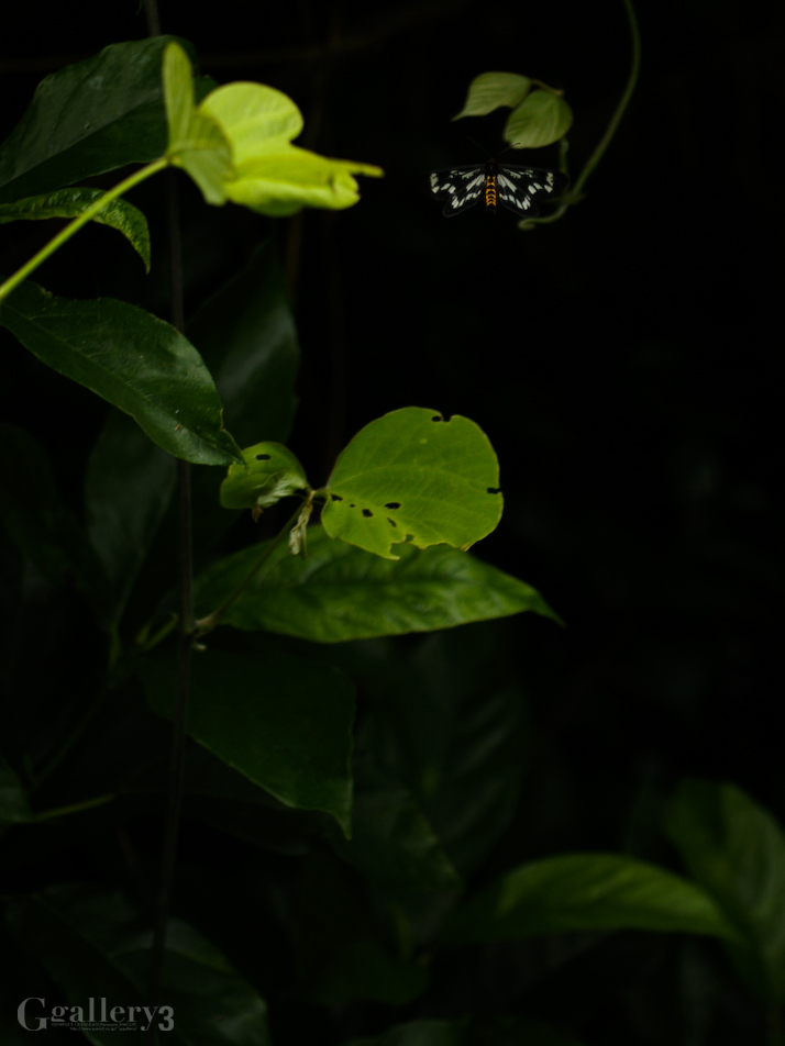 P5300020-1150.jpg