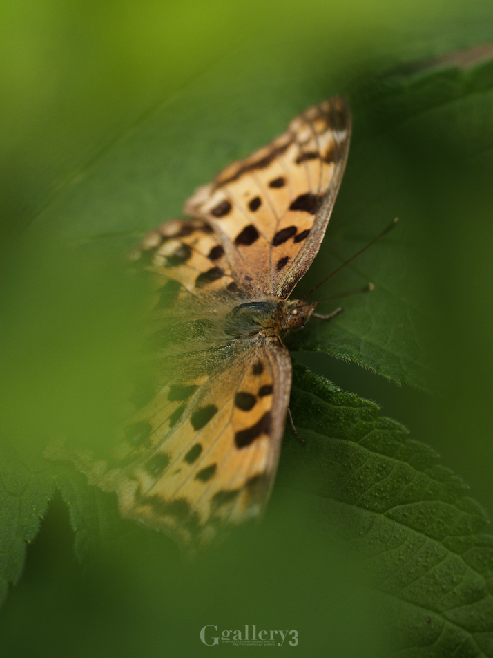 P5300222-1159.jpg