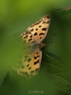 P5300222-1159m.jpg