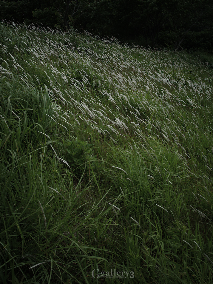 P5303911-1173.jpg
