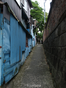 P6020595-E1_1454m.jpg