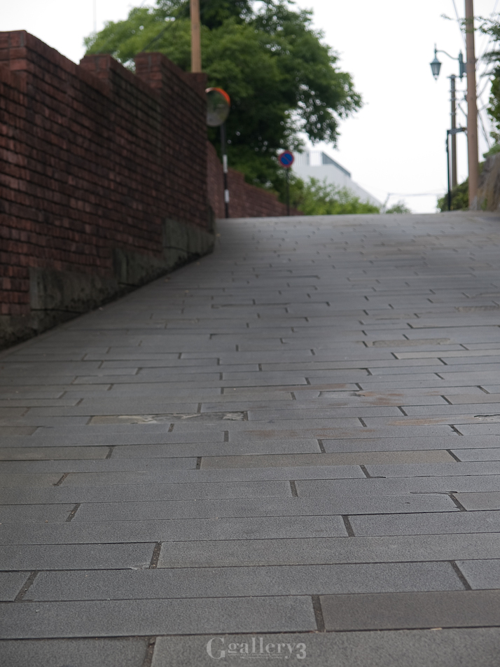 P6020635-E1_1454.jpg