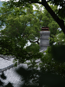 P6020670-E1_1454m.jpg