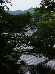 P6020677-E1_1454m.jpg