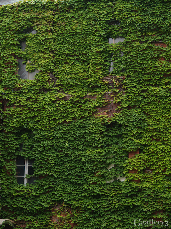 P6020751-E1_1454.jpg