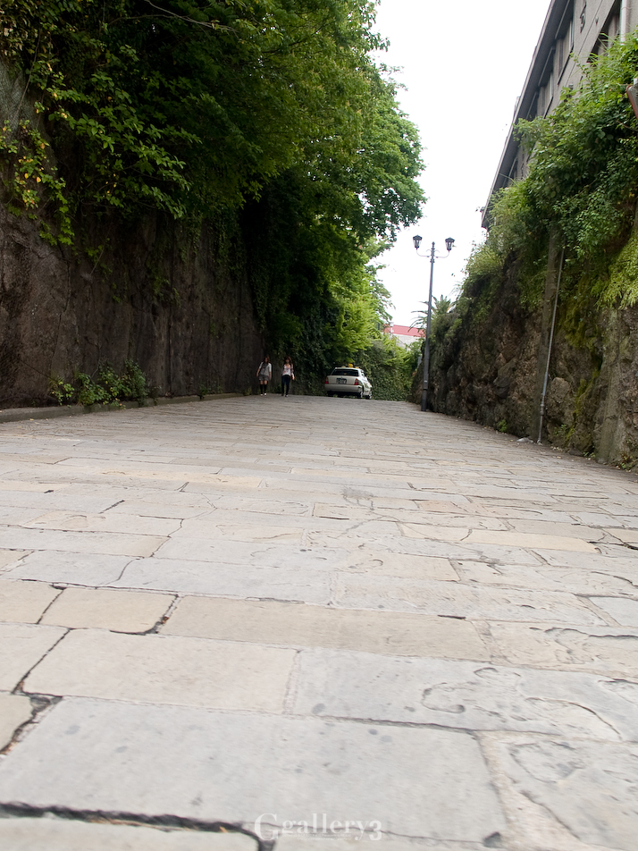 P6020775-E1_1454.jpg