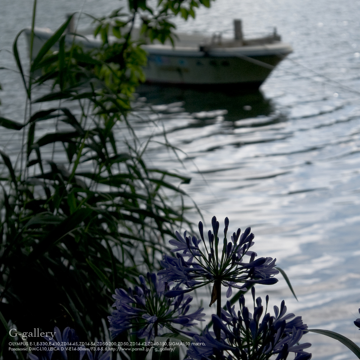 P7060151_E_1.jpg